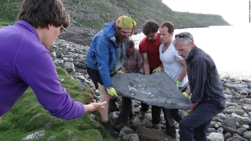 Fossil eines riesigen fliegenden Reptils, das auf einer schottischen Insel entdeckt wurde