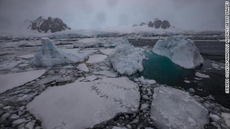 Neue Daten zeigen, dass die Antarktis dieses Jahr wahrscheinlich einen alarmierenden neuen Rekord aufstellen wird