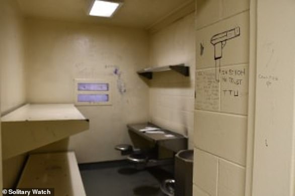 Das Schlimmste im Gefängnis: die Einzelhaftzelle im Gefängnis von Cook County.  Es ist unwahrscheinlich, dass Josie in eine dieser Zellen gesteckt wird