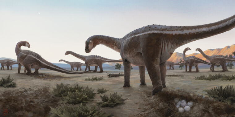 In Brasilien wurde ein Titanosaurier-Nistplatz gefunden