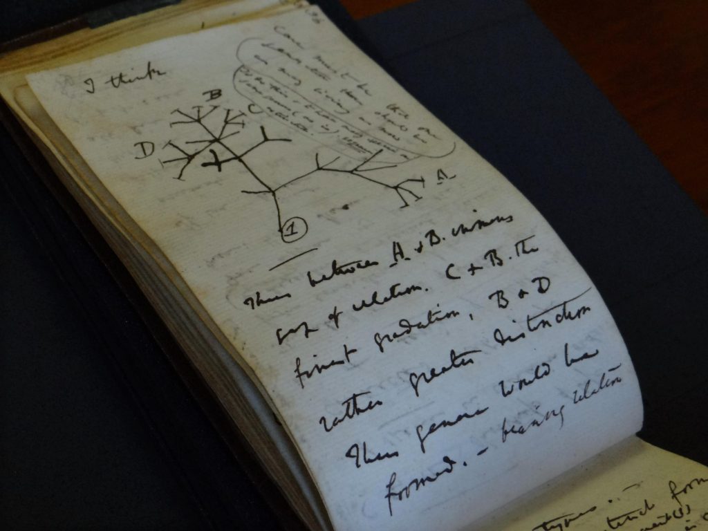 Darwins seit 20 Jahren verlorene Notizbücher sind zurück in Cambridge