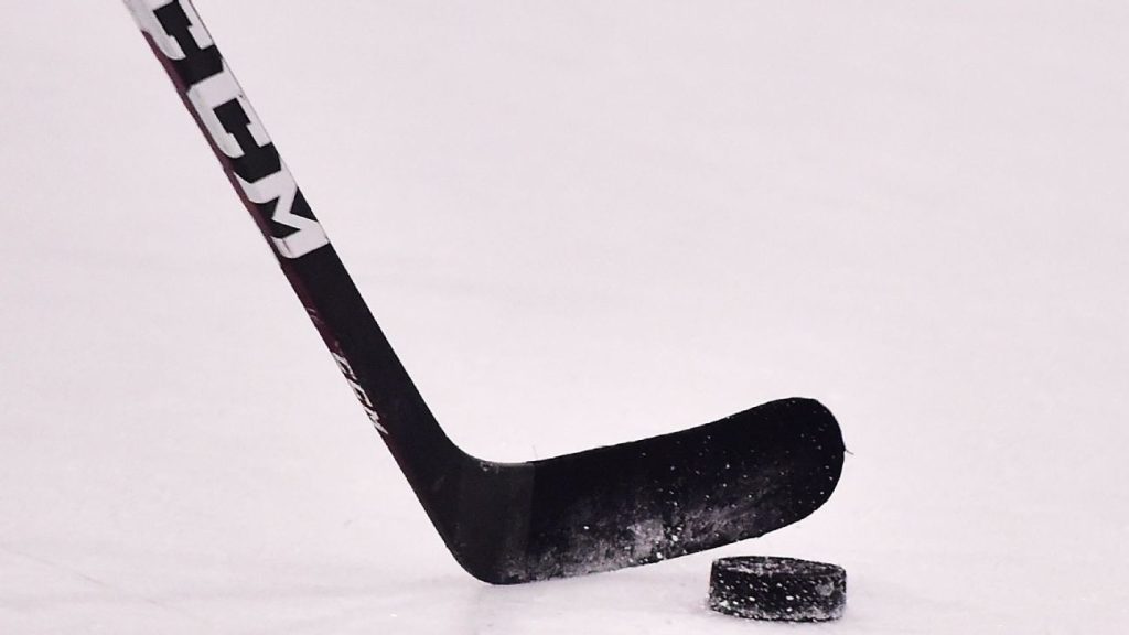 Der Internationale Eishockeyverband hat Russland das Recht entzogen, die Weltmeisterschaften 2023 auszurichten