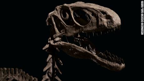 Von Dinosaurierfossilien inspirierte & # 39 ;  Jurassic Park & ​​# 39;  Verkauft für mehr als 12 Millionen Dollar