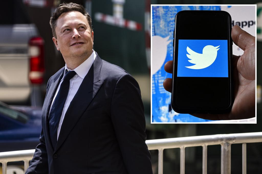 Elon Musk flirtet mit Twitter, reicht in einem Rechtsstreit Widerklage ein