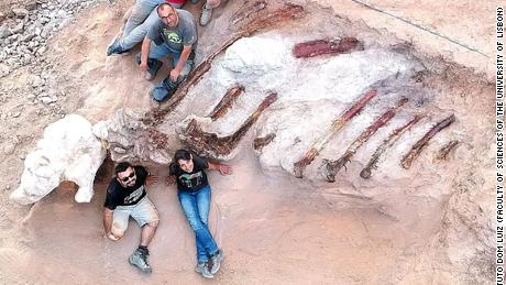 Forscher glauben, dass die Überreste etwa 39 Fuß hoch und 82 Fuß lang gewesen sein könnten.