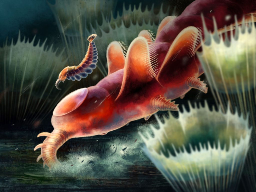 Die fossile Entdeckung eines „bizarren Wunders“ fügt dem Puzzle der Arthropoden-Evolution ein Stück hinzu